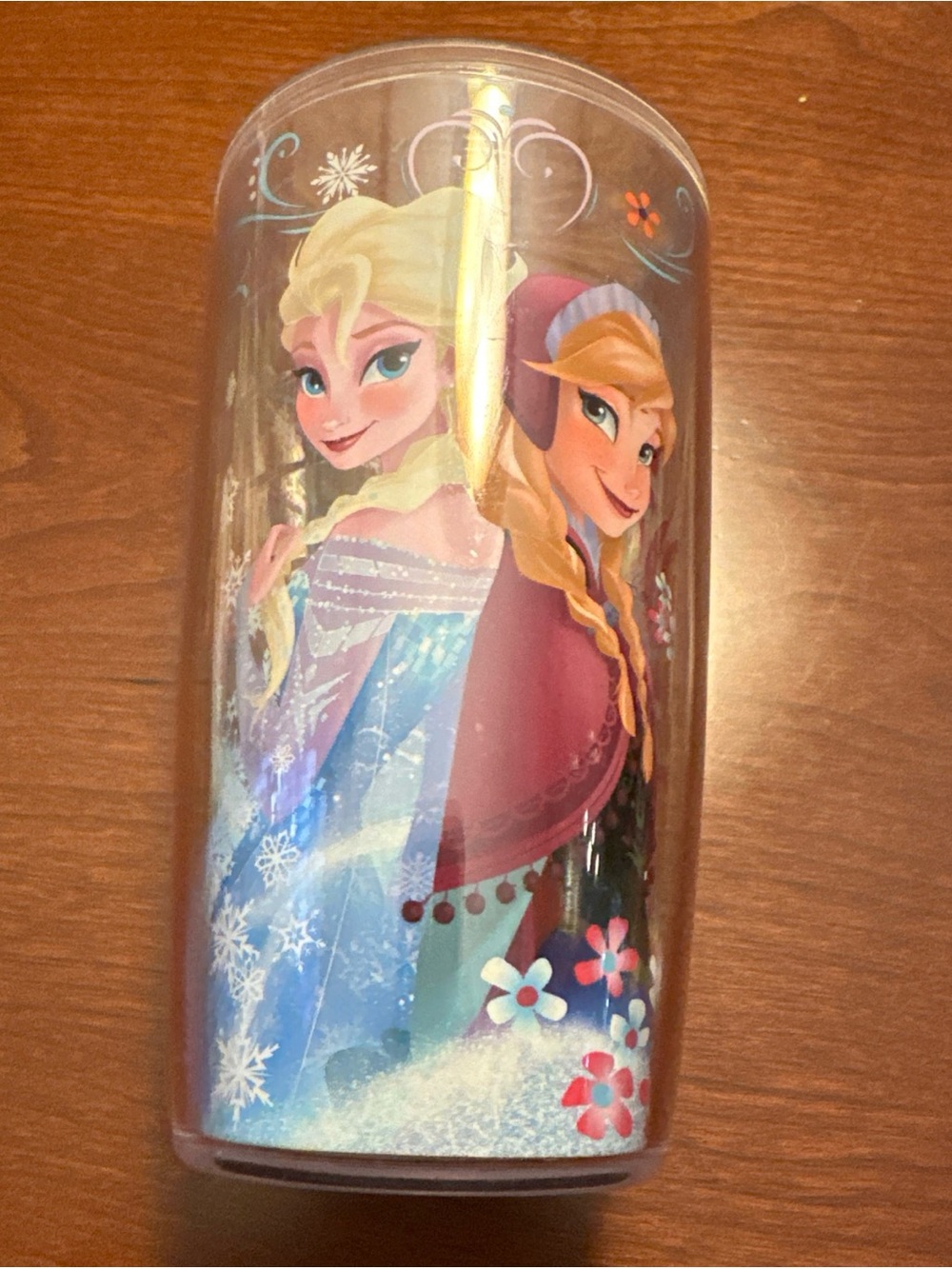 tervis Frozen Sisters Blue Pink Kids Tumbler Elsa and Anna from Disneys Frozen